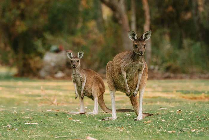 Adelaide South Australia